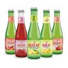 Karışık Meyveli Soda Çeşitleri 24x200ml